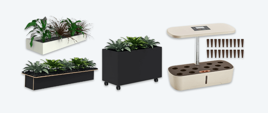 Planter Boxes